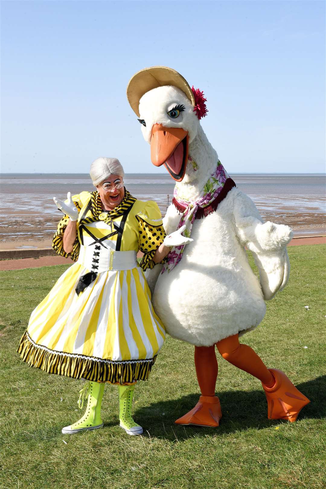 Image source: https://www.lynnnews.co.uk/whats-on/mother-goose-is-back-in-hunny-9143017/